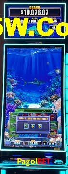 Live Casino Pagolbet